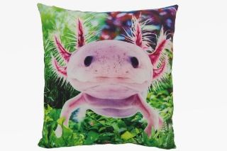 Obrázek z Polštář axolotl plyšový 35x35cm (3) 